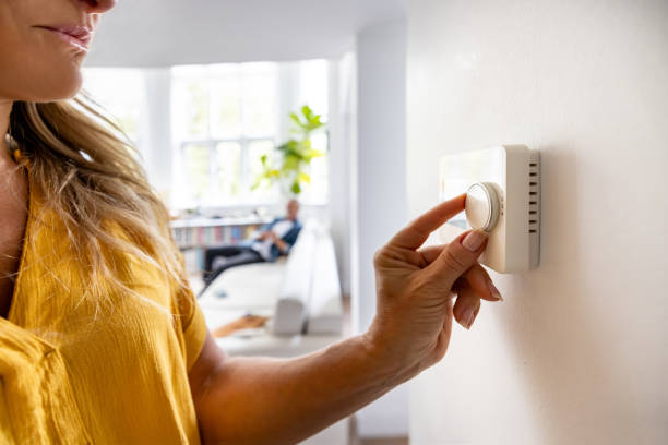 Best Air Filters and Purifiers in Wanamingo, MN
